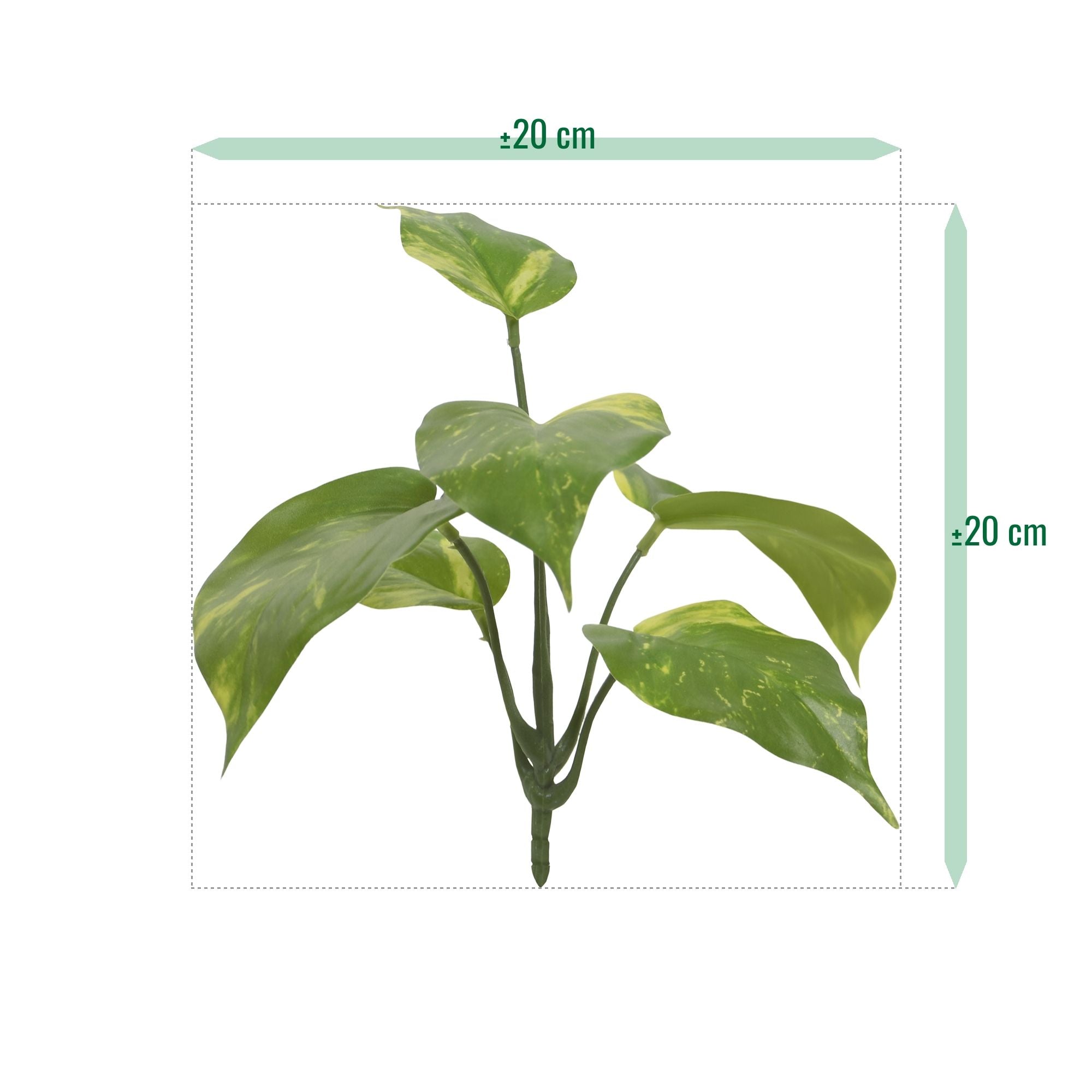 Pothos kunstplant bont 20cm