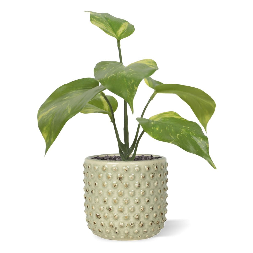 Pothos kunstplant bont 20cm