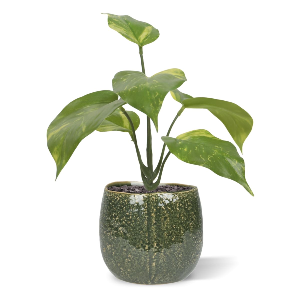 Pothos kunstplant bont 20cm
