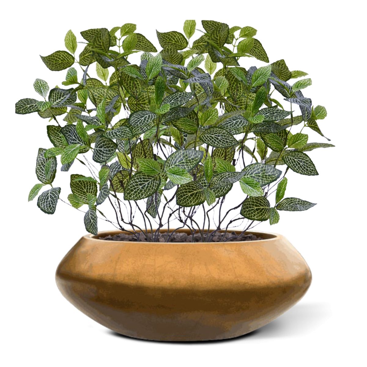 Fittonia Mont Blanc kunstplant 50cm