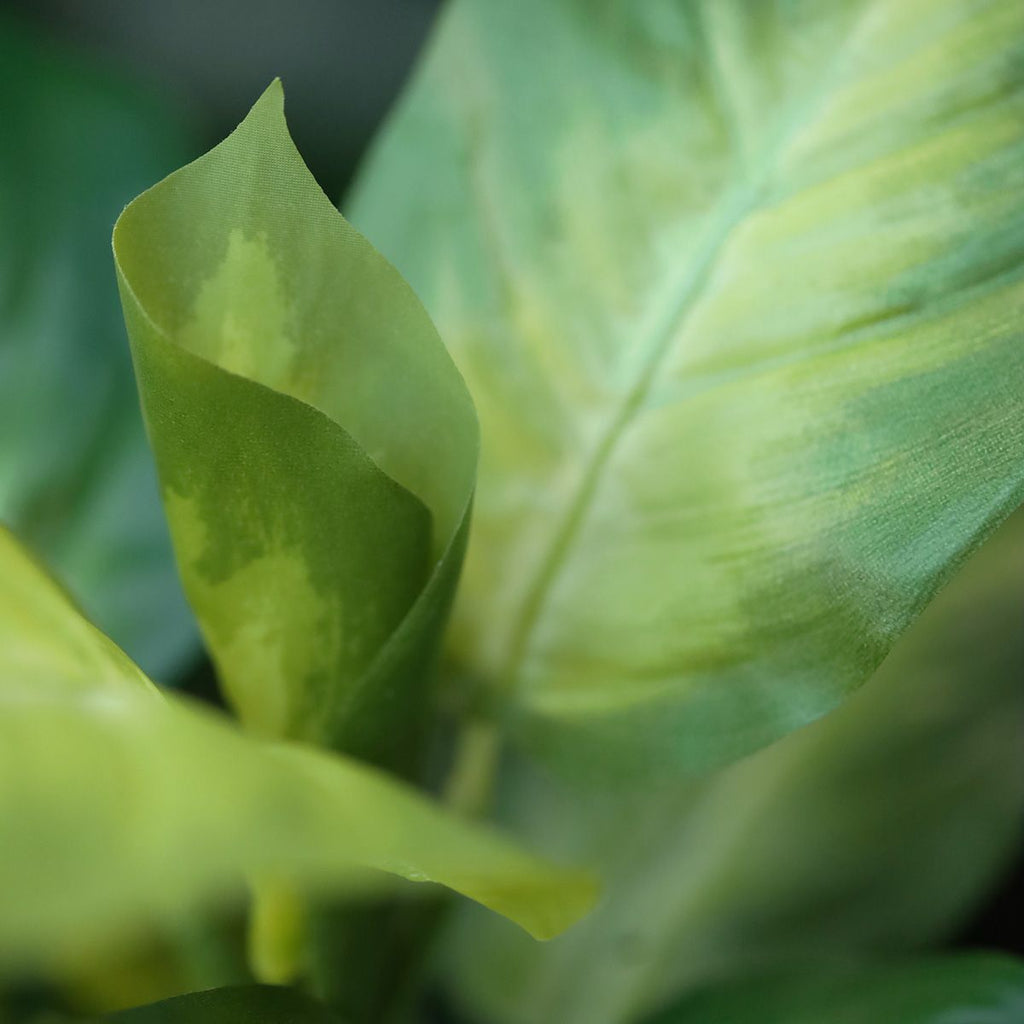 Dieffenbachia Kunstplant 25cm