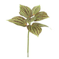 Peperomia Kunstplant groen/bruin 25cm