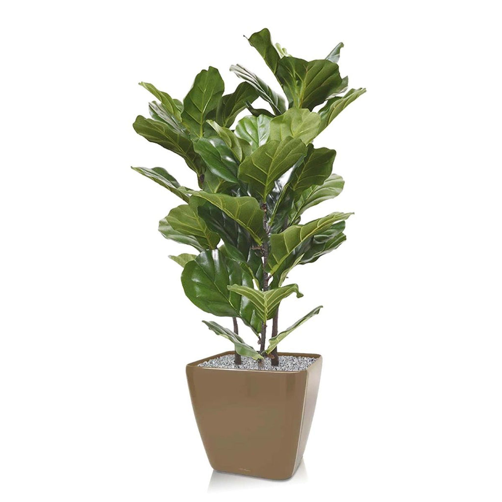 Lyrata kunstplant 95cm