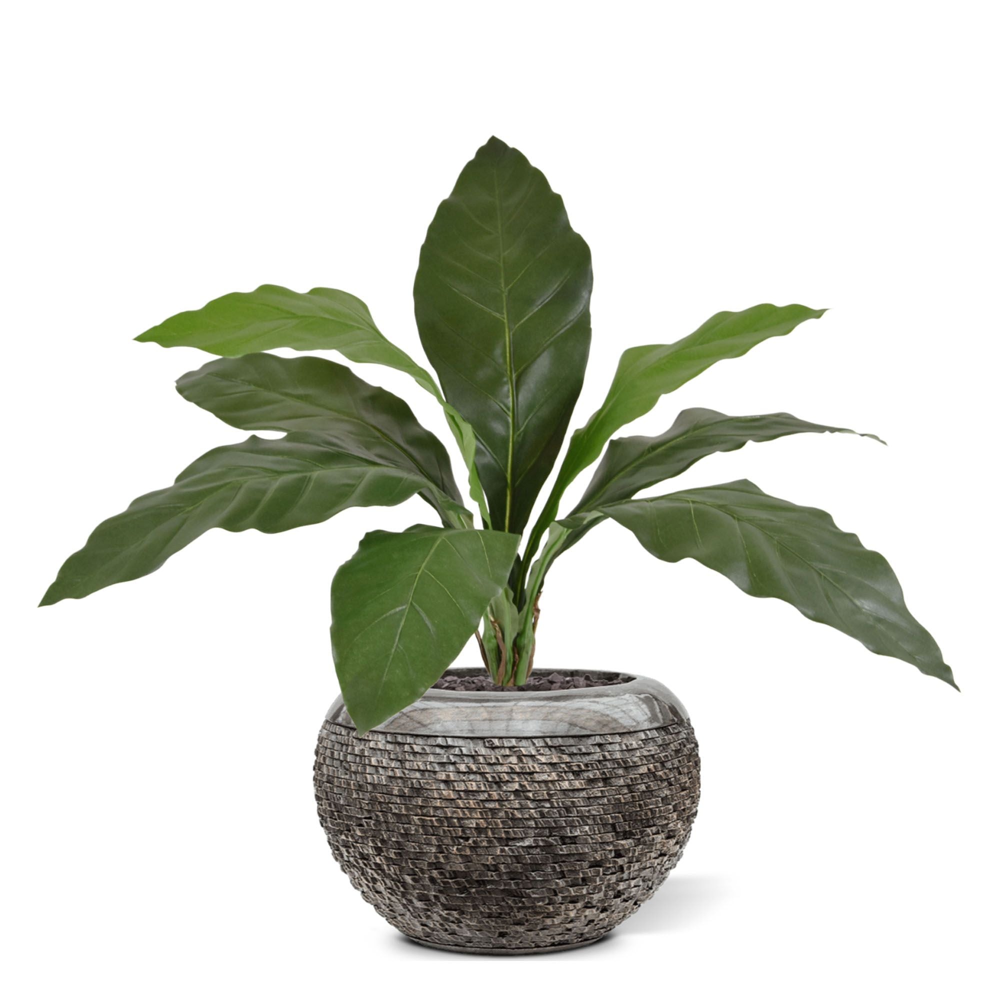 Anthurium Jungle King kunstplant 60cm