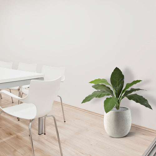 Anthurium Jungle King kunstplant 60cm