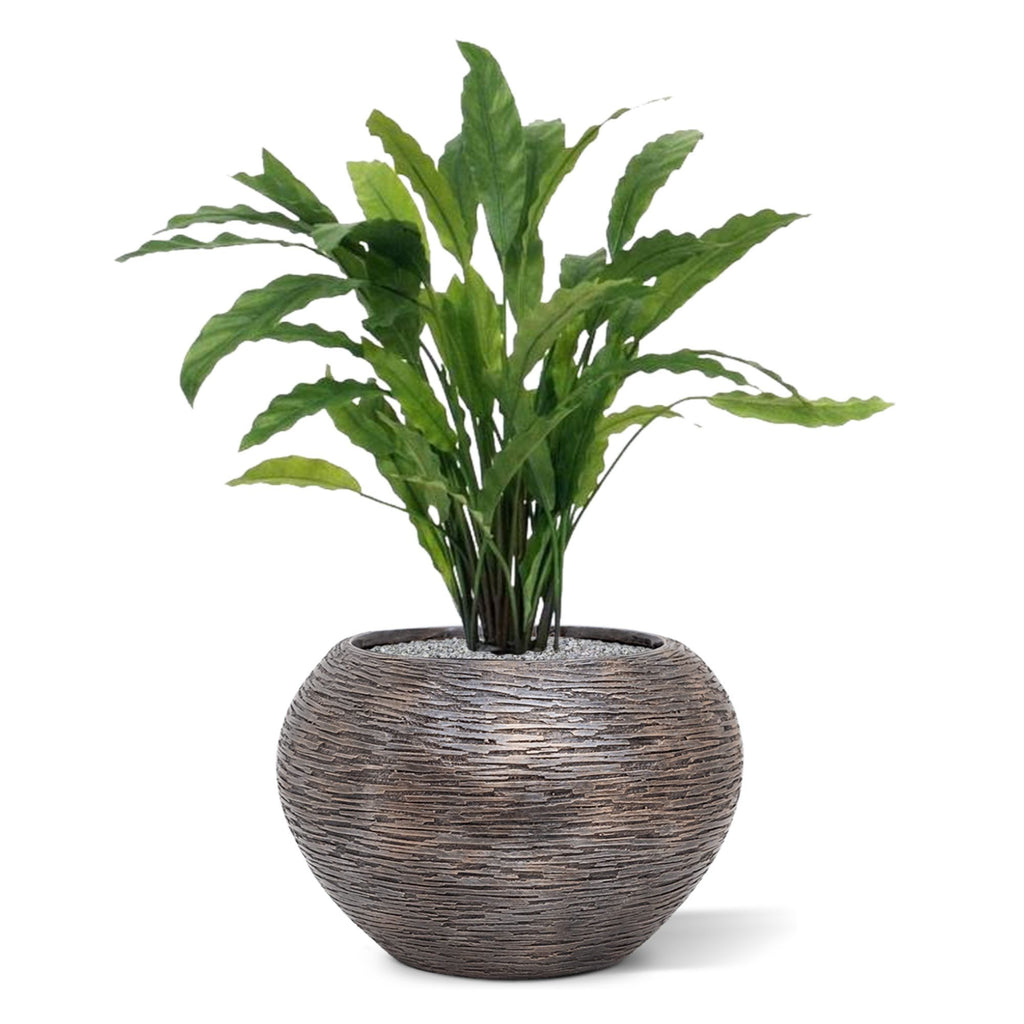 Calathea kunstplant 60cm - groen