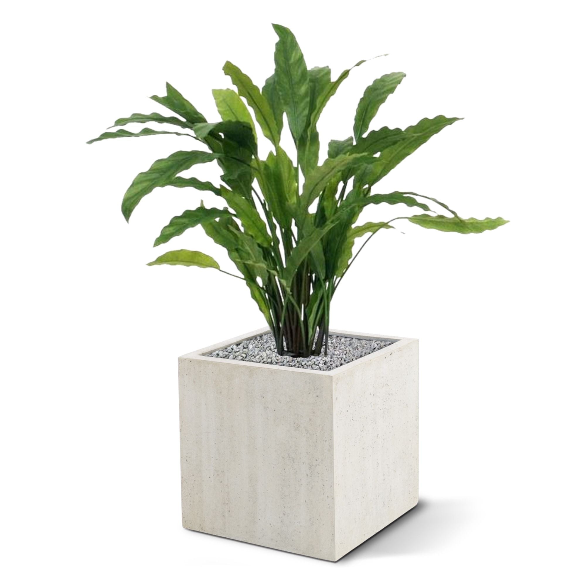 Calathea kunstplant 60cm - groen