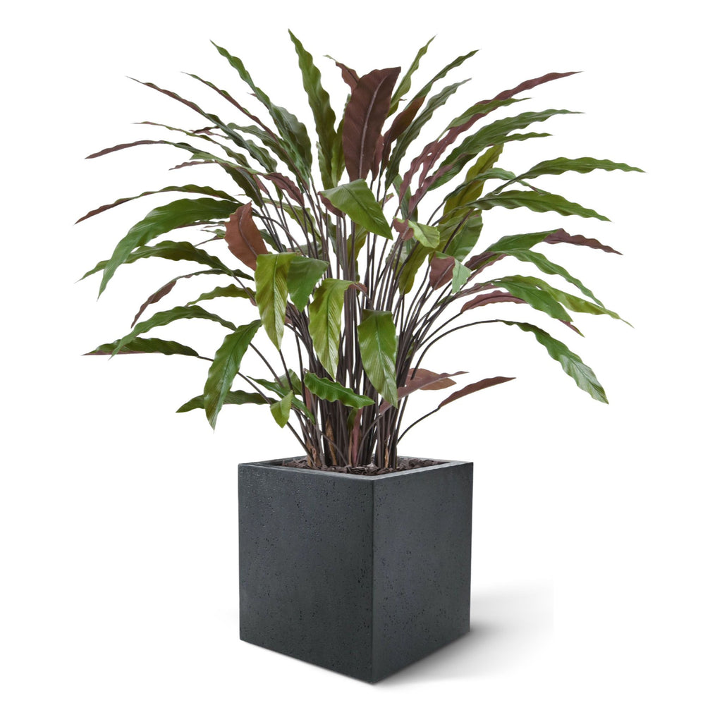 Calathea kunstplant 85cm - groen/rood