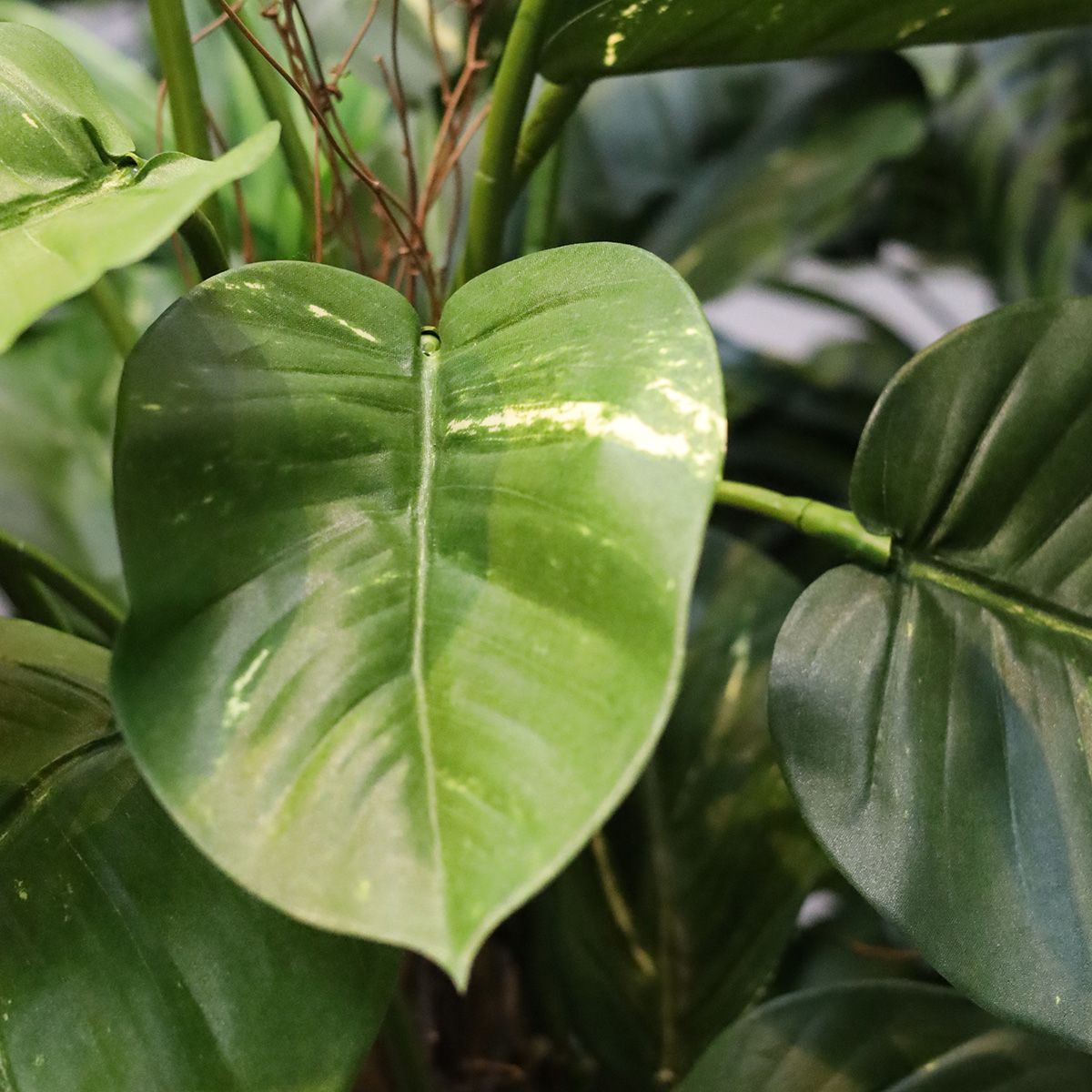 Kunst Pothos Klimplant 125cm Deluxe