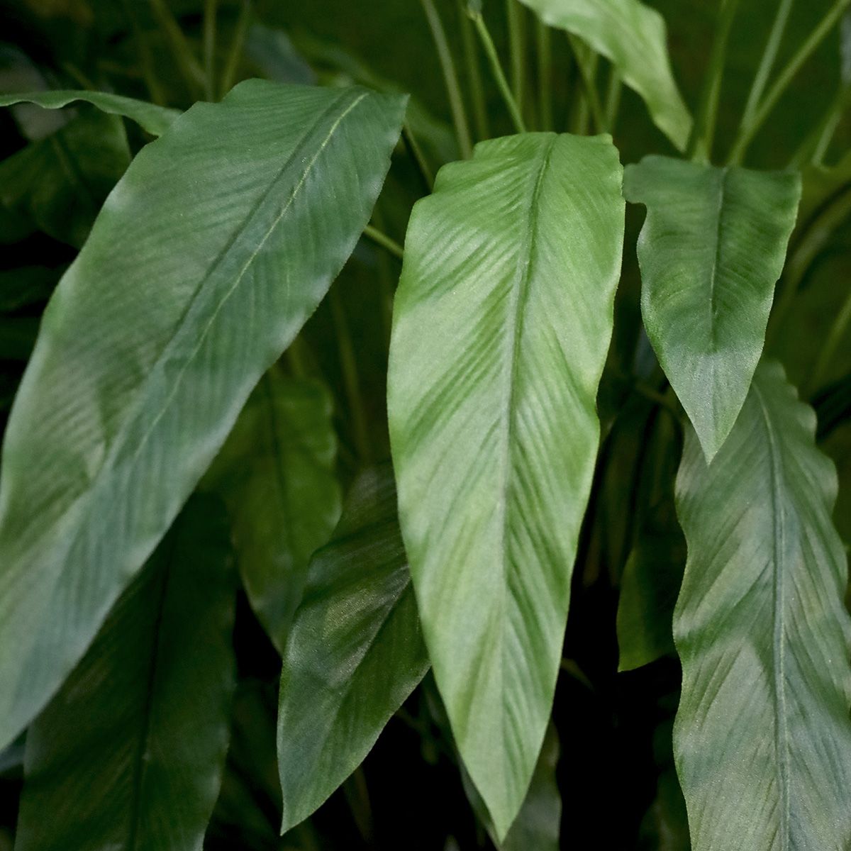 Calathea kunstplant Deluxe 115cm groen