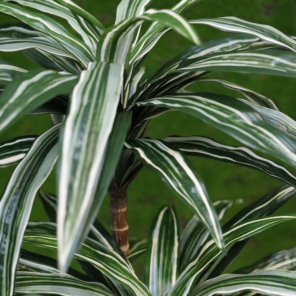 Draceana Deluxe kunstplant groen-bont 95cm