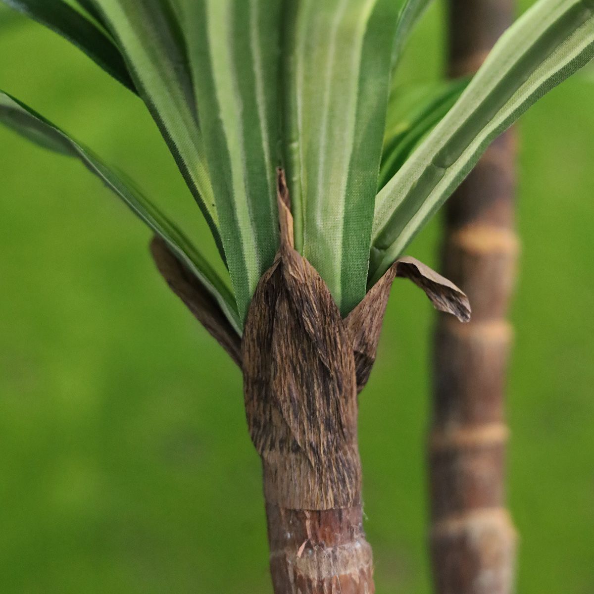 Draceana Massangeana kunstplant Deluxe 95cm