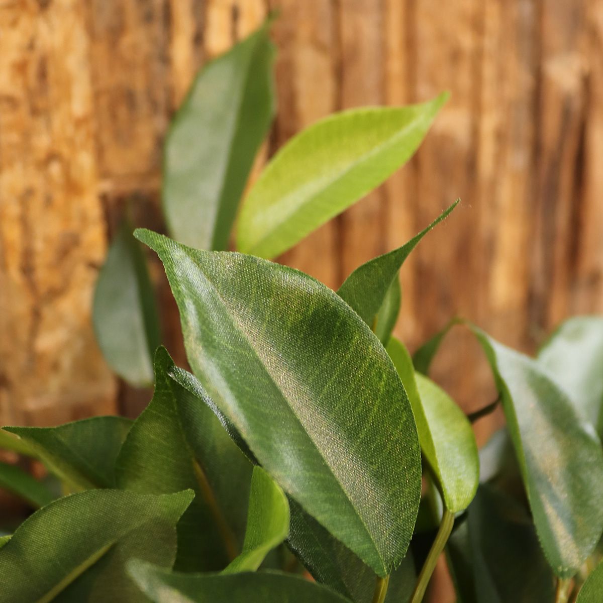 Ficus Natasja Kunstplant 40cm in 10cm pot