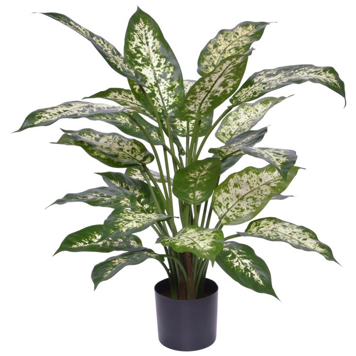 Dieffenbachia Kunstplant Deluxe 60cm in pot