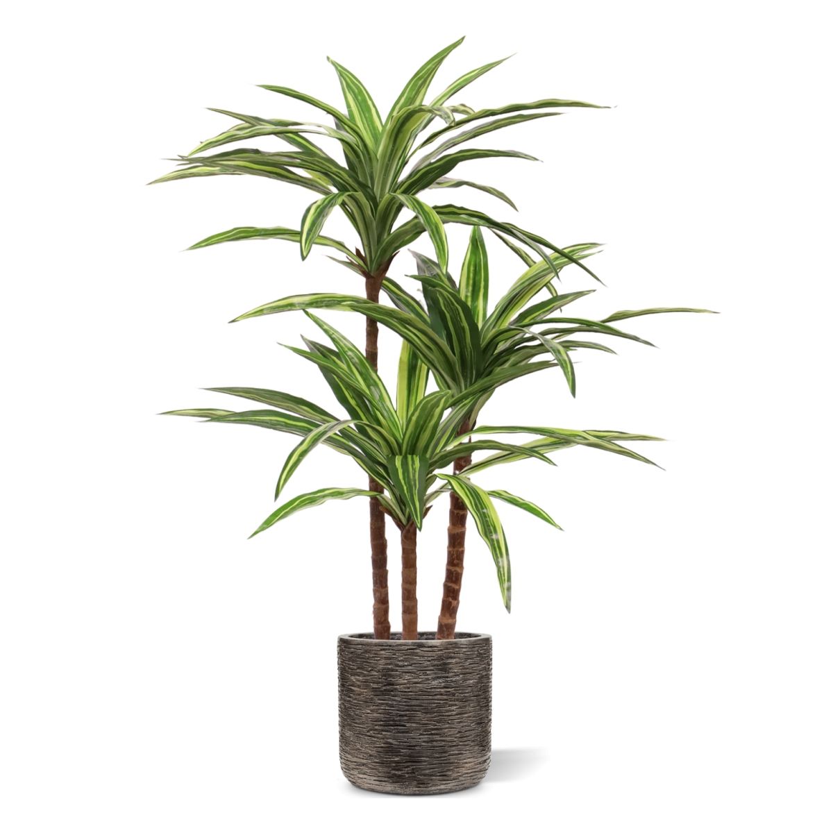 Draceana Massangeana kunstplant Deluxe 95cm