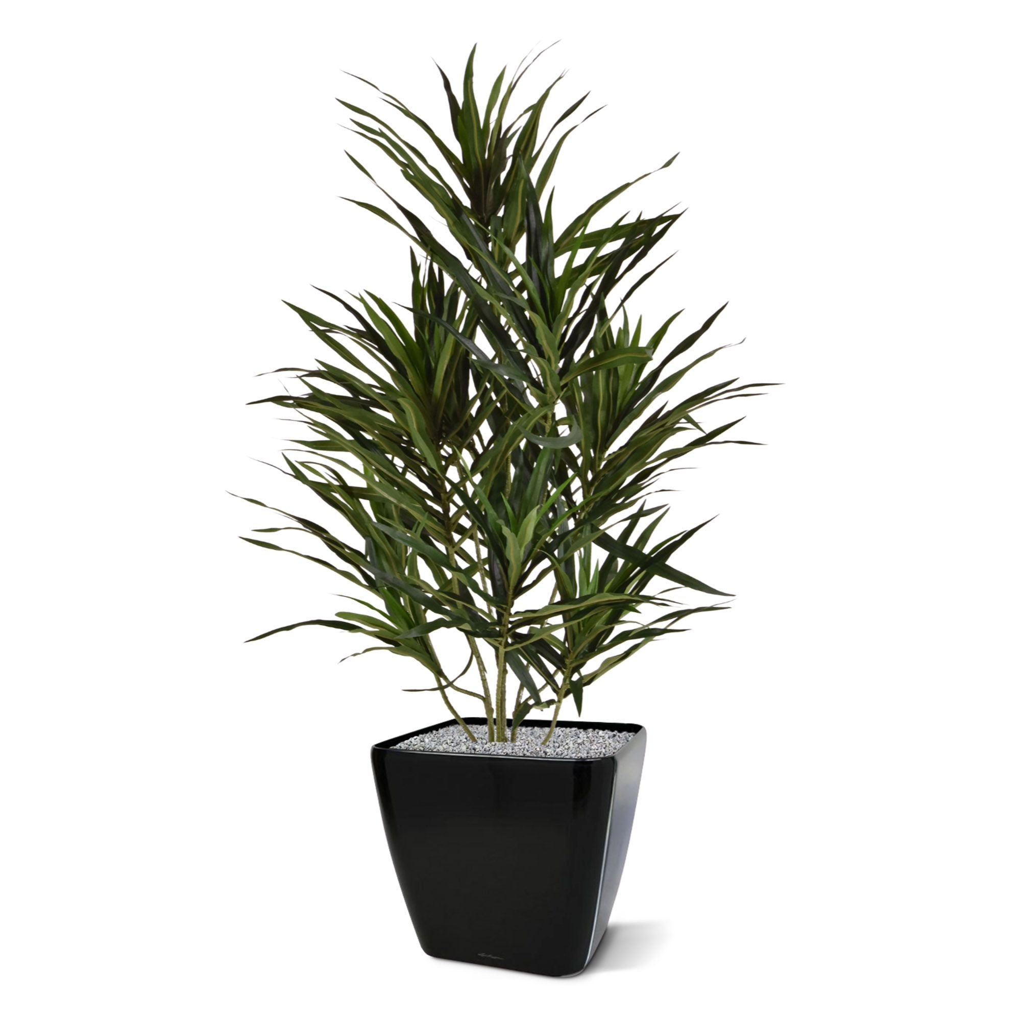 Draceana Reflexa Anita kunstplant 70cm