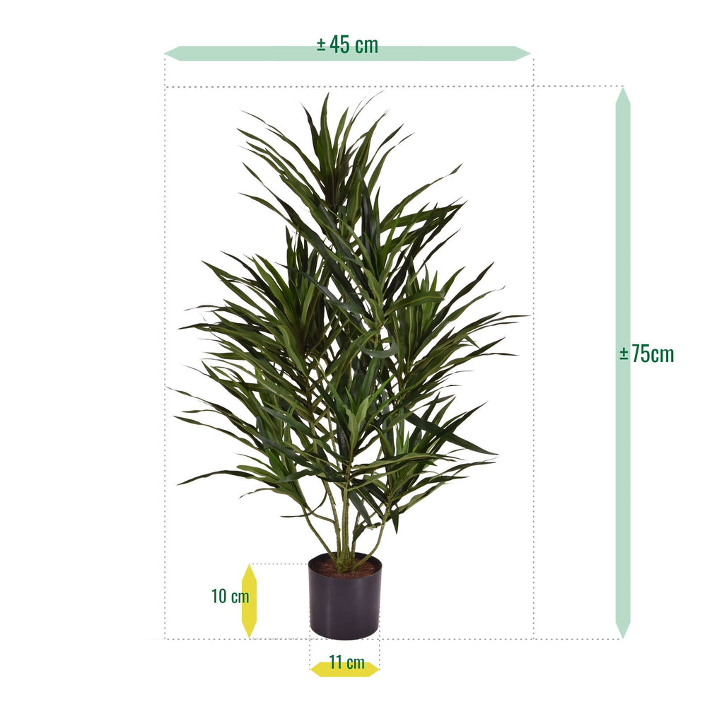 Draceana Reflexa Anita kunstplant 70cm