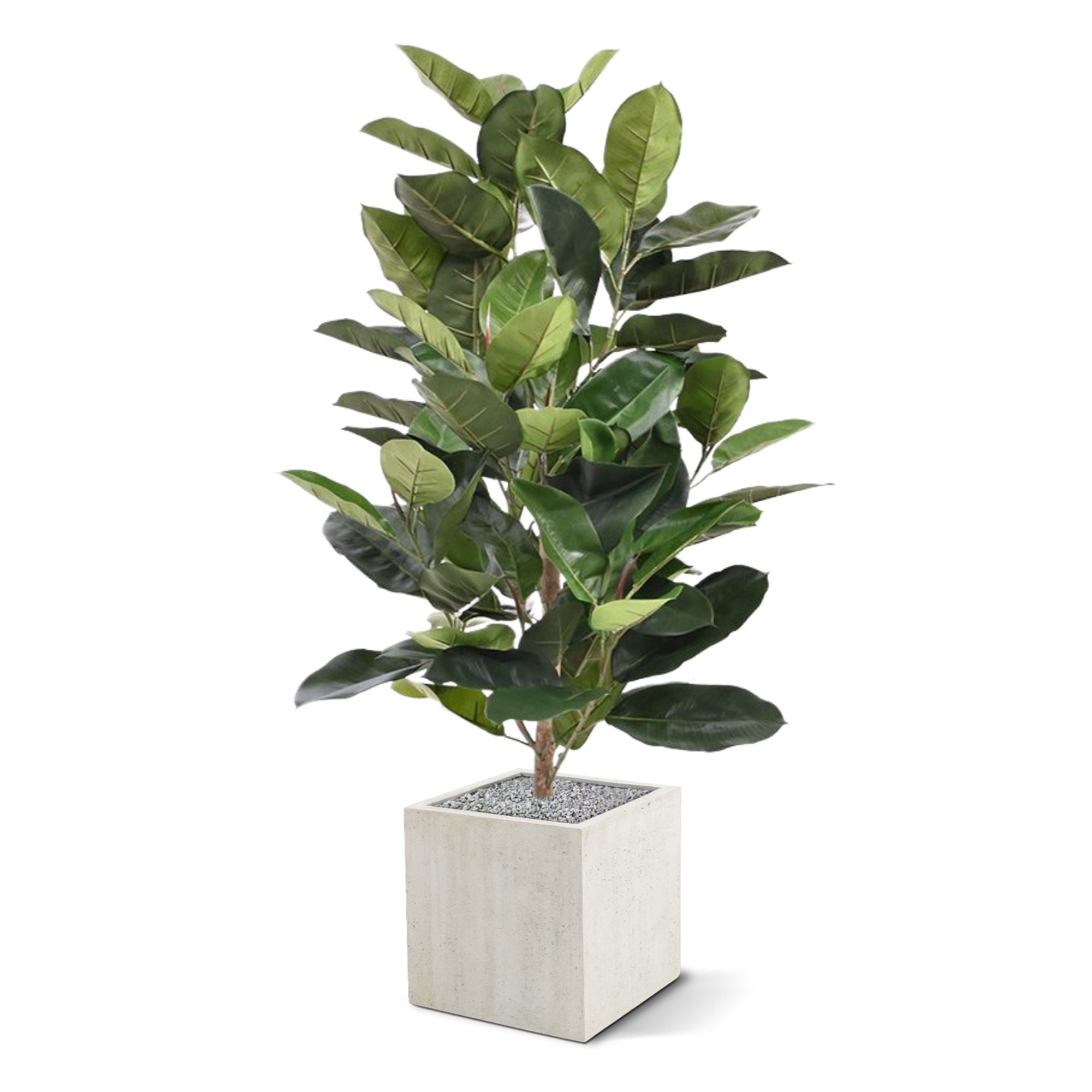 Elastica Robusta kunstplant 120cm - groen