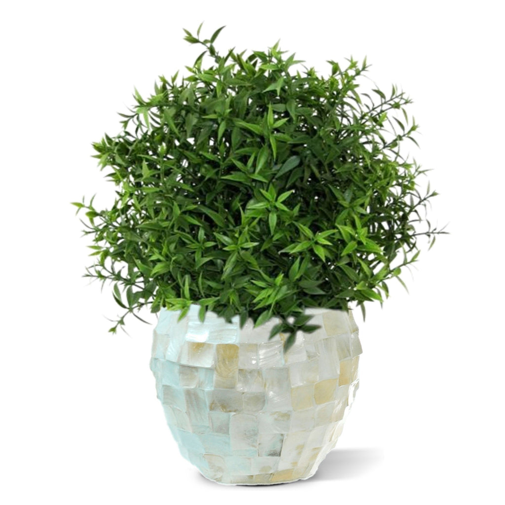 Eucalyptus kunstplant 35cm