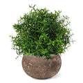 Eucalyptus kunstplant 35cm