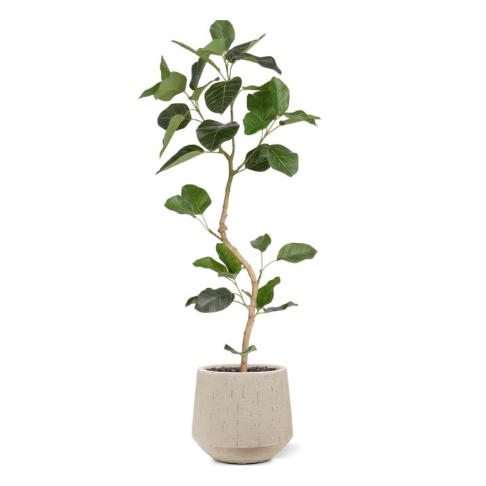 Ficus Audrey Kunstplant RT 120cm