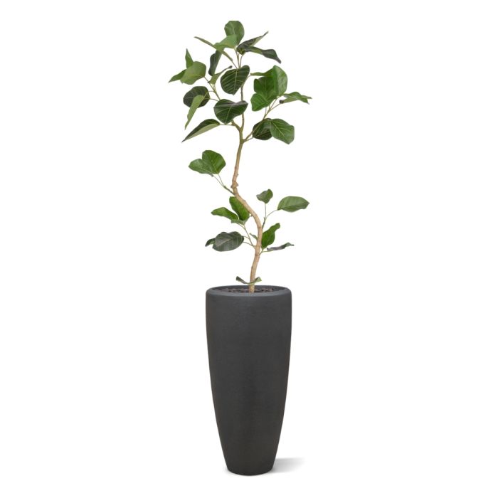 Ficus Audrey Kunstplant RT 120cm