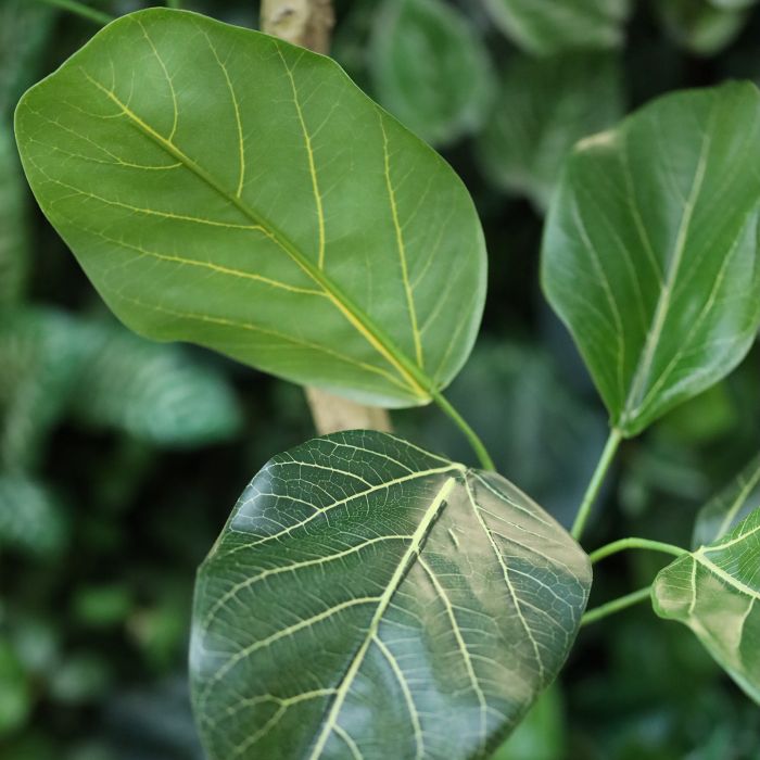 Ficus Audrey Kunstplant RT 120cm