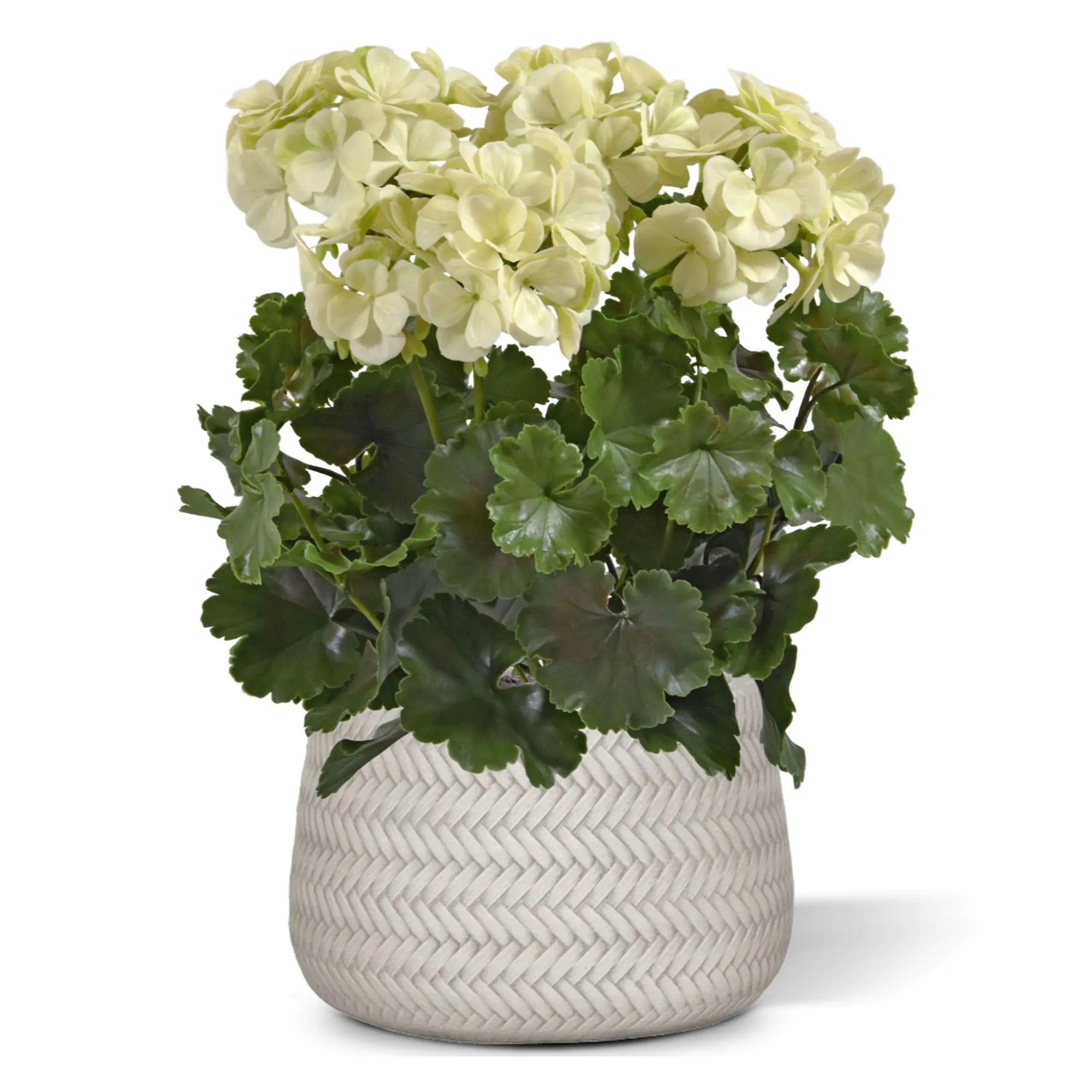 Extra grote witte, UV-bestendige kunstmatige geranium voor buiten, UV-bestendig.