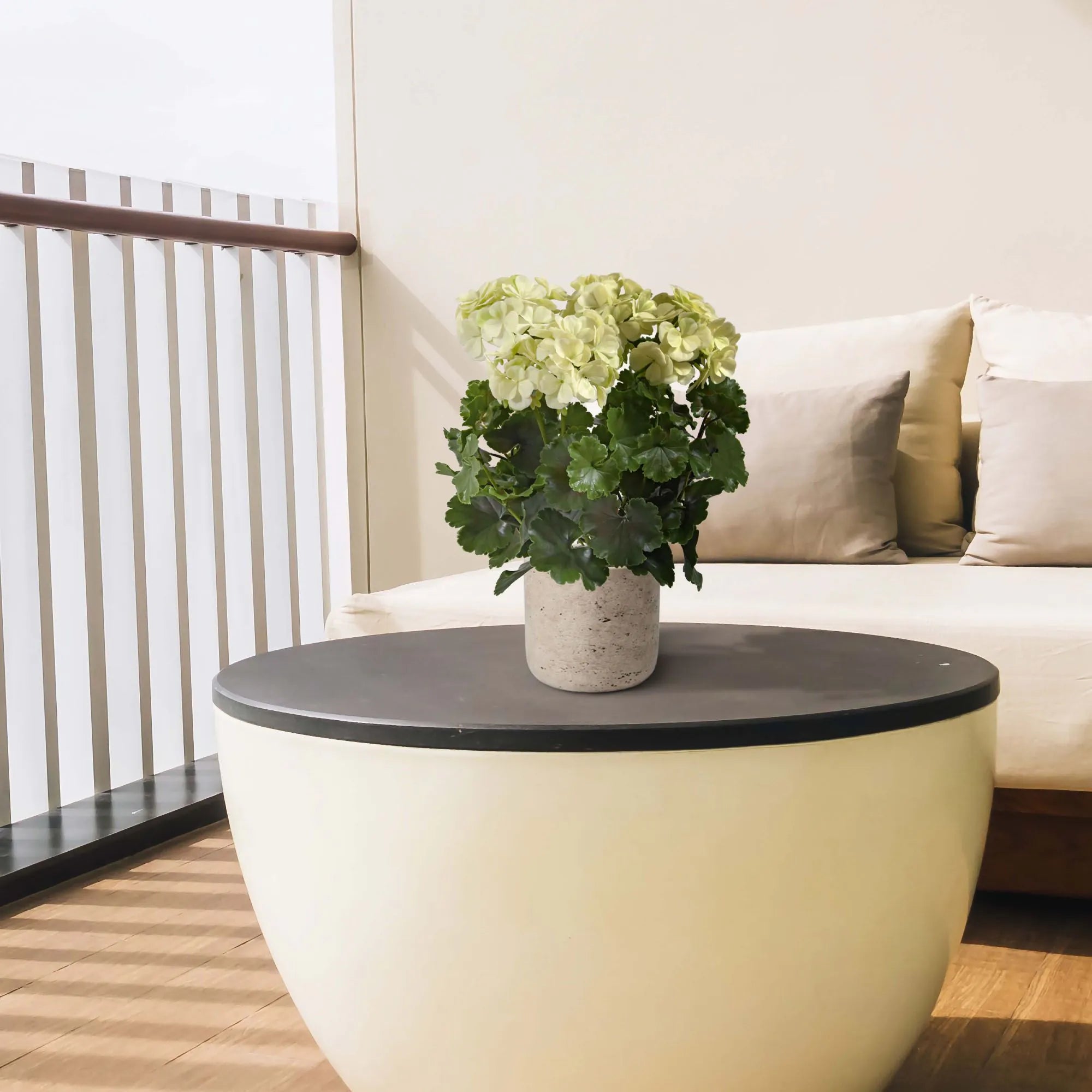 Extra grote witte, UV-bestendige kunstmatige geranium voor buiten, UV-bestendig.