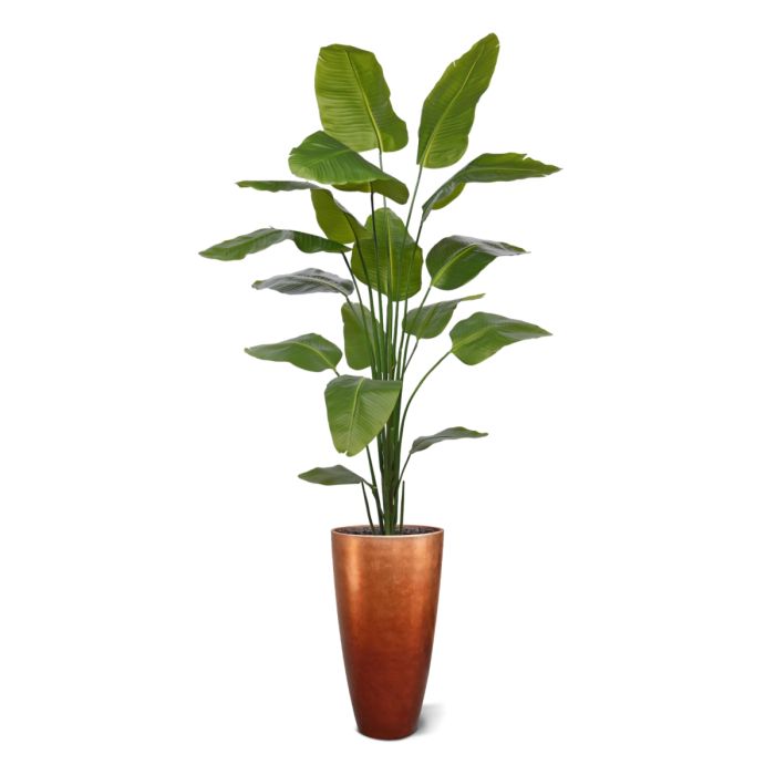 Strelitzia Nicolai kunstplant 210cm