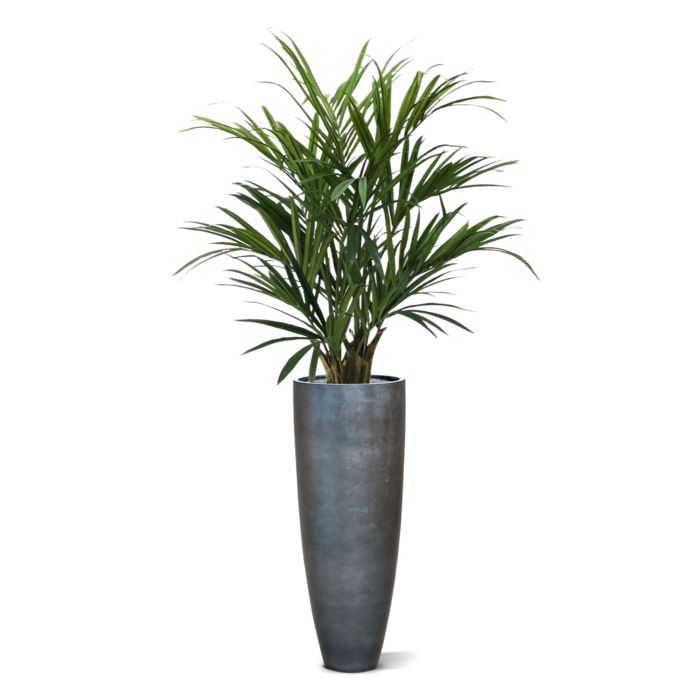 Kentia deluxe kunstpalm XL 140cm