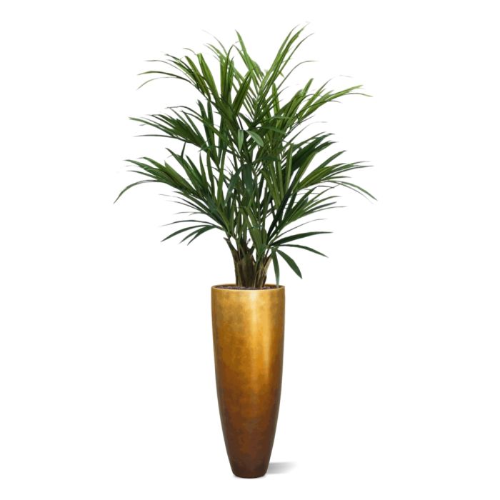 Kentia deluxe kunstpalm XL 140cm