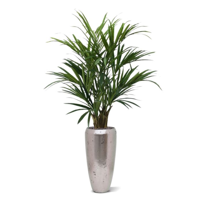 Kentia deluxe kunstpalm XL 140cm
