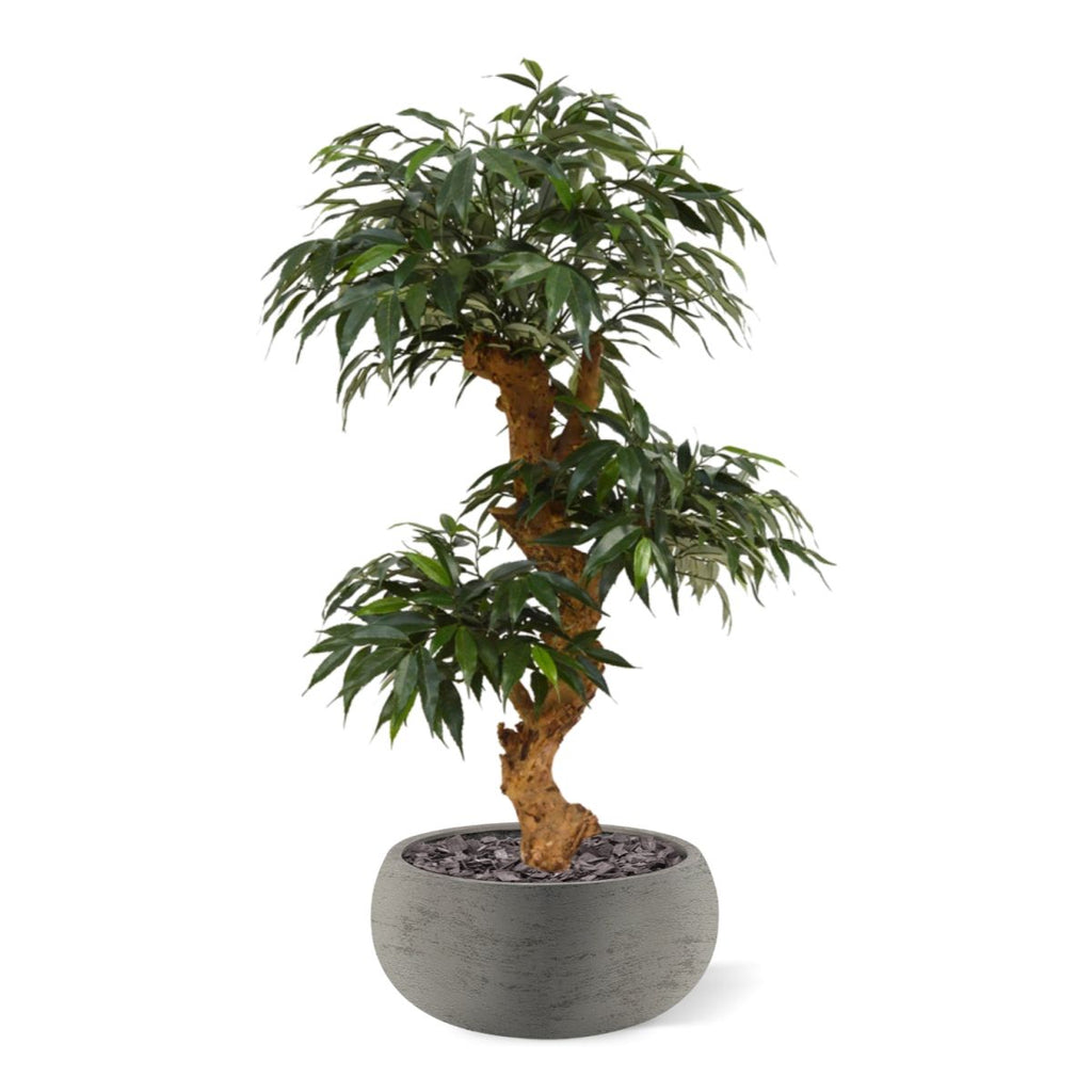 Shirakashi Bonsai x3 kunstboom op voet 80cm