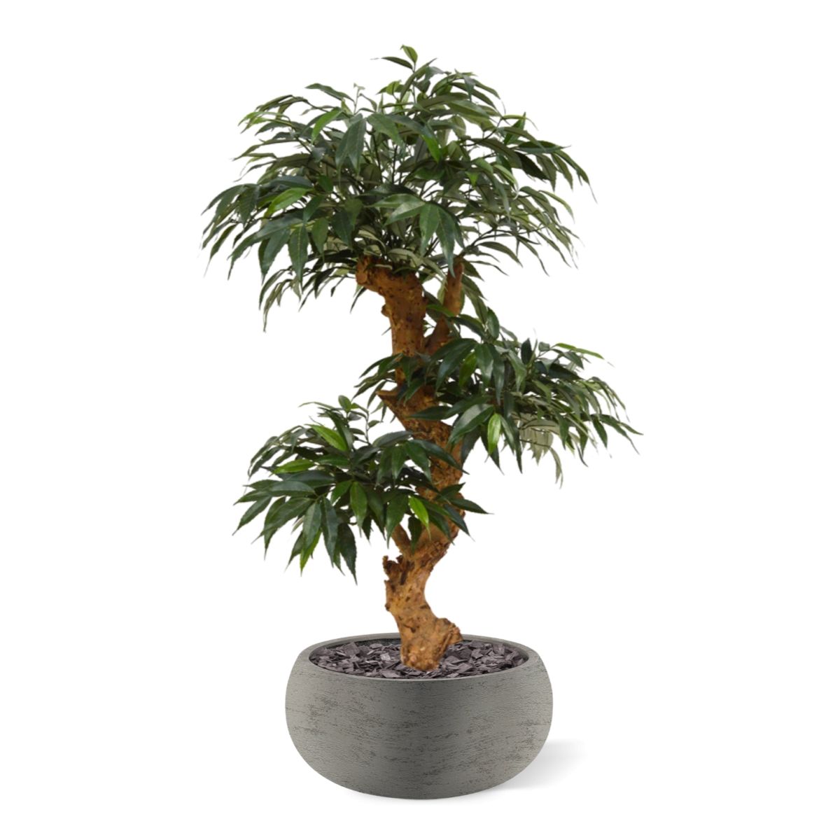 Shirakashi Bonsai x3 kunstboom op voet 80cm