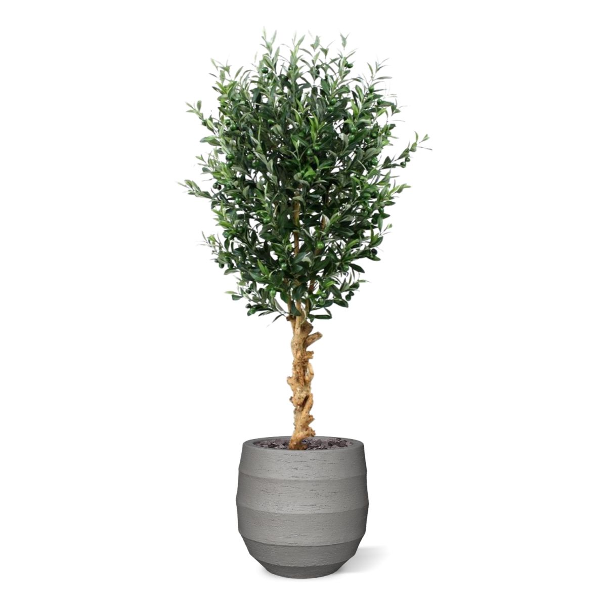 Kunst Olijfboom deluxe 155cm