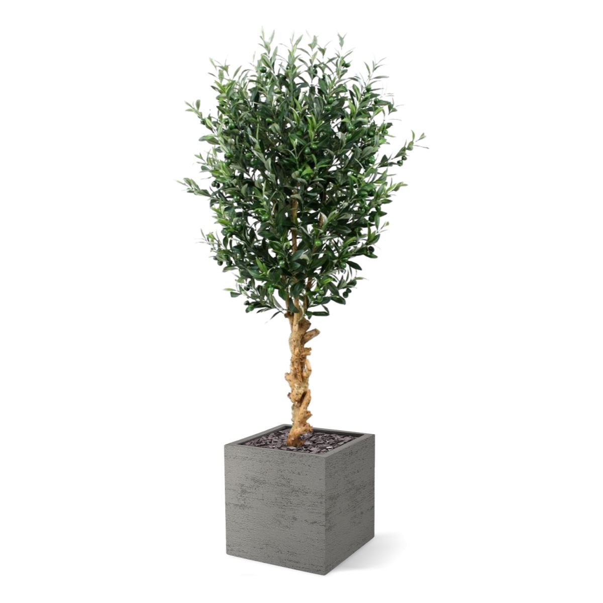 Kunst Olijfboom deluxe 155cm