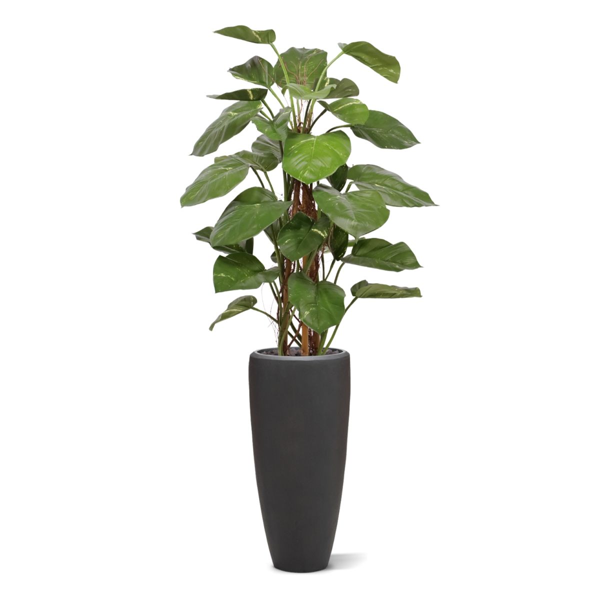 Kunst Pothos Klimplant 125cm Deluxe