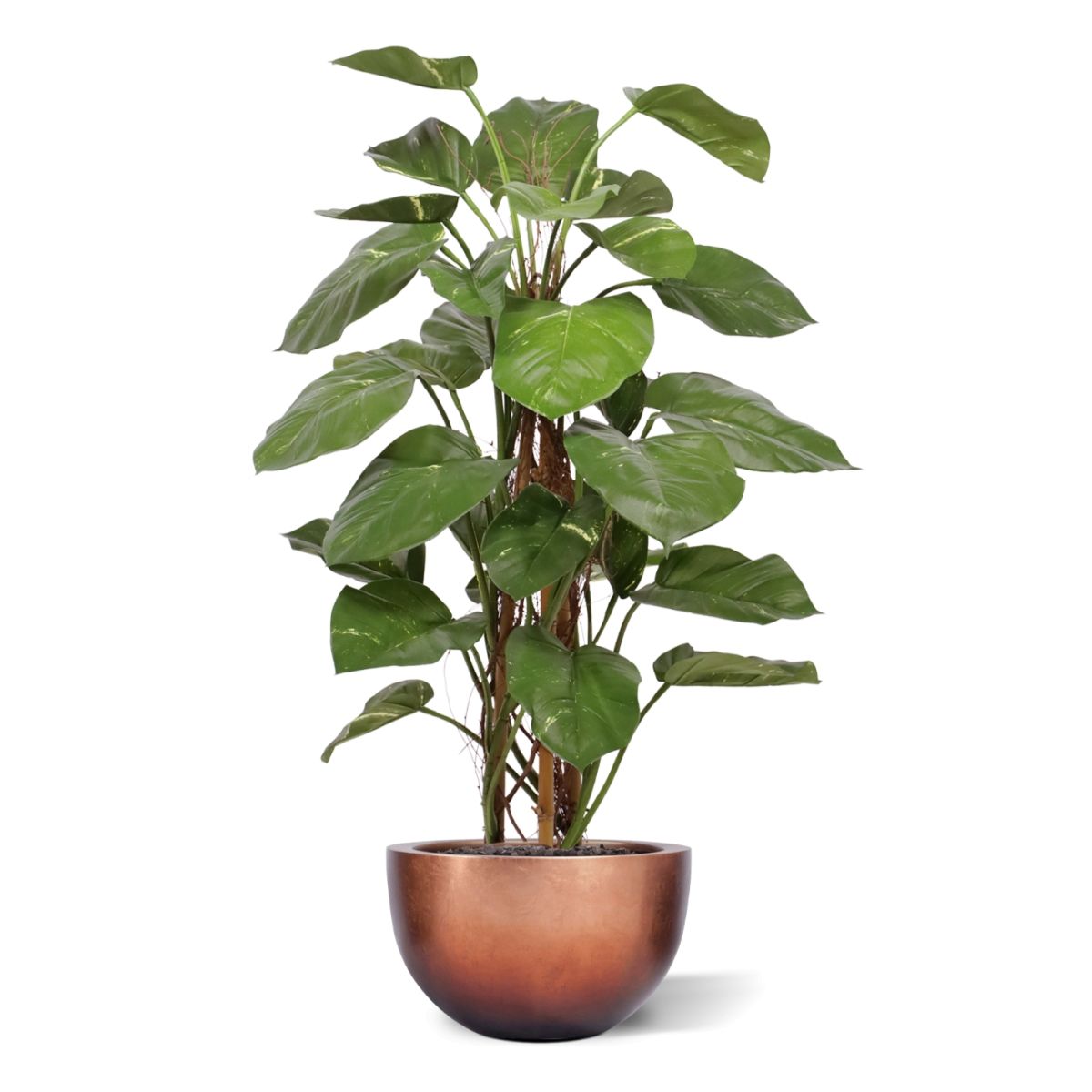 Kunst Pothos Klimplant 125cm Deluxe