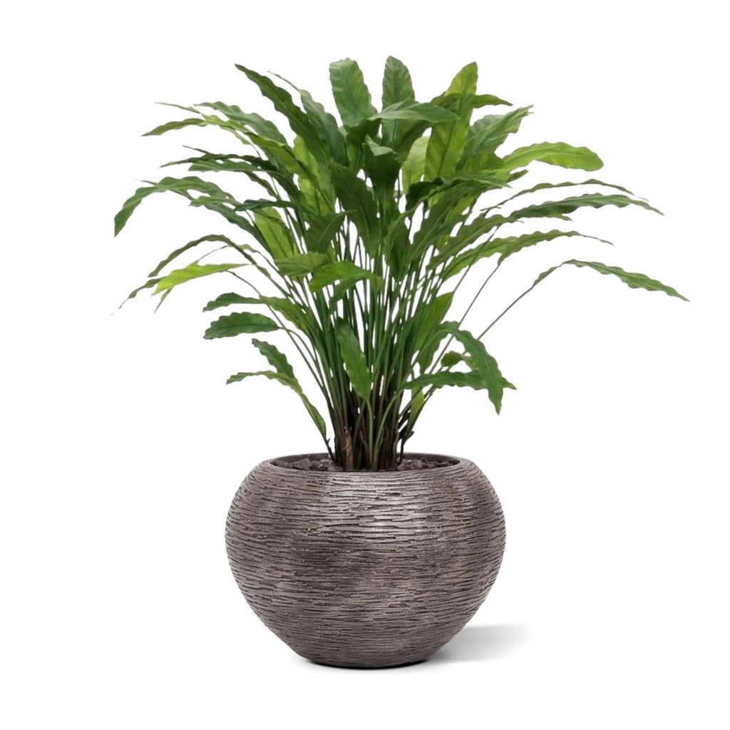 Calathea kunstplant 85cm - groen
