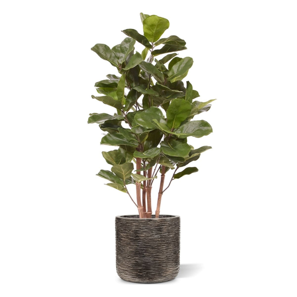 Royal Lyrata kunstplant 105 cm