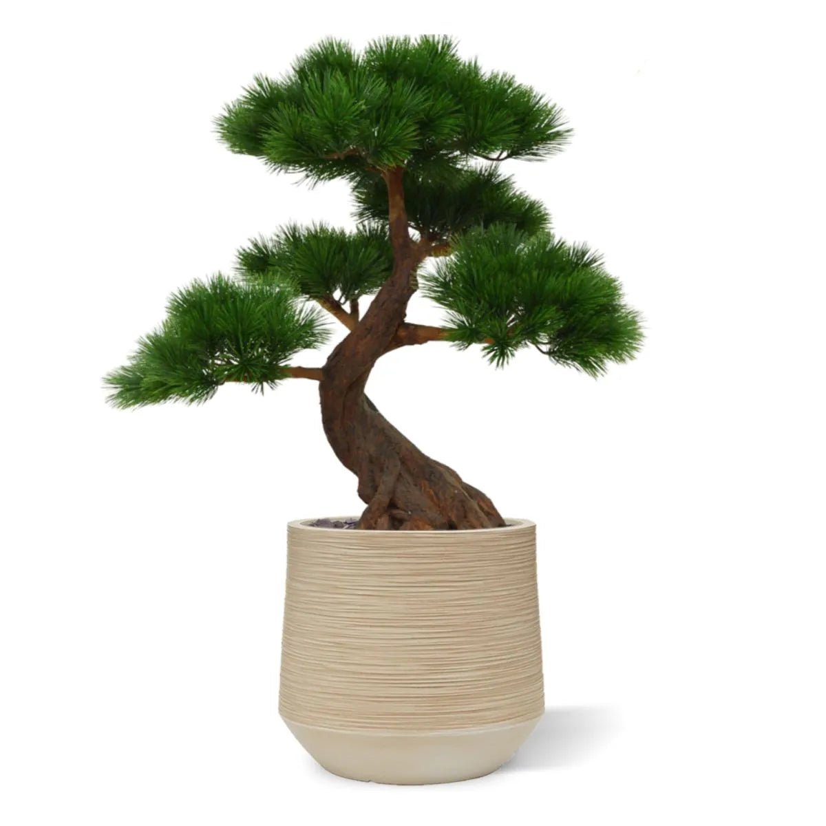 Kunstzinnige buitenbonsai van dennenboom, 80 cm hoog, met 5 UV-beschermde niveaus.