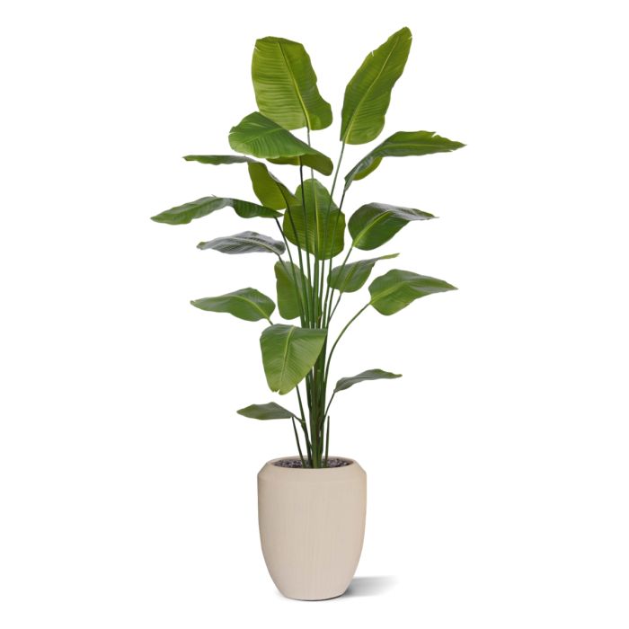 Strelitzia Nicolai kunstplant 210cm