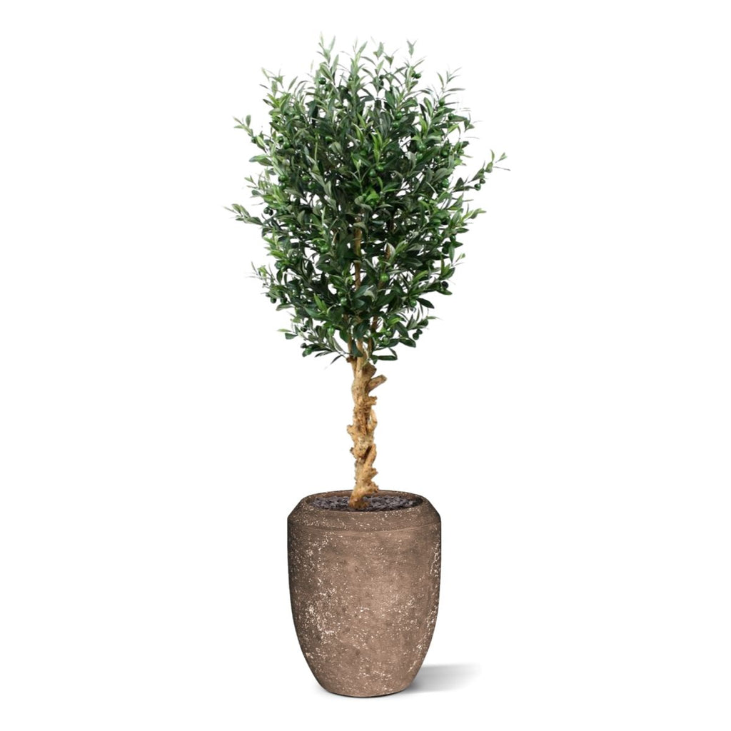 Kunst Olijfboom deluxe 155cm