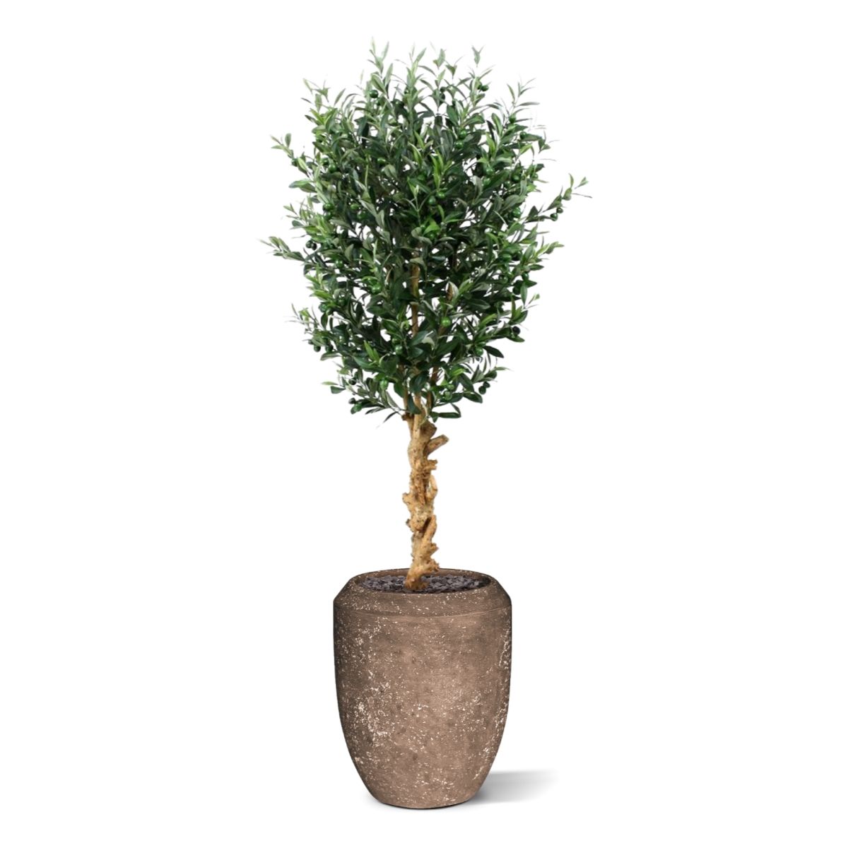 Kunst Olijfboom deluxe 155cm