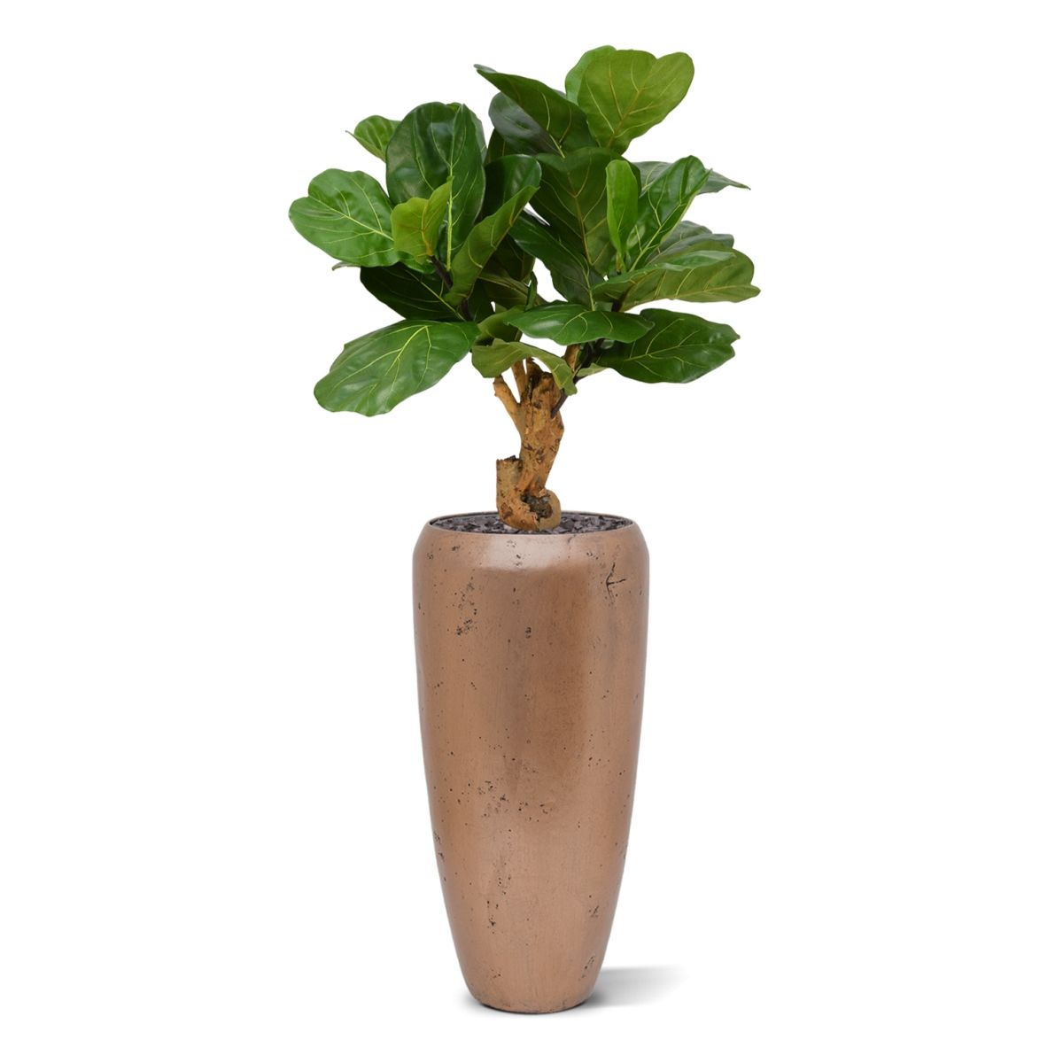 Lyrata deluxe kunstplant op stam 80cm