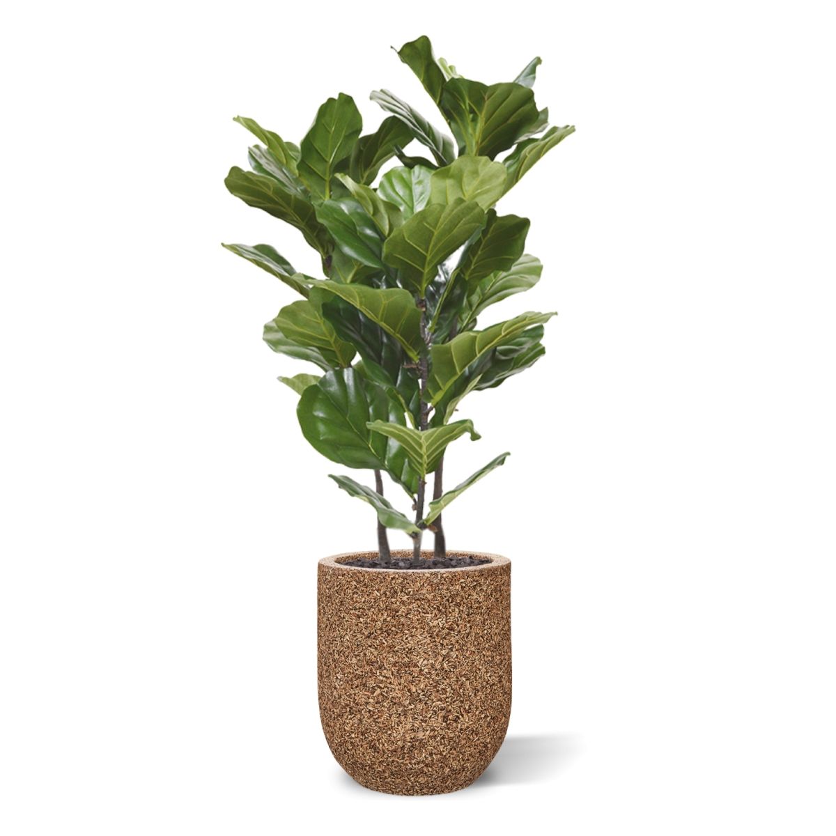 Lyrata kunstplant 95cm