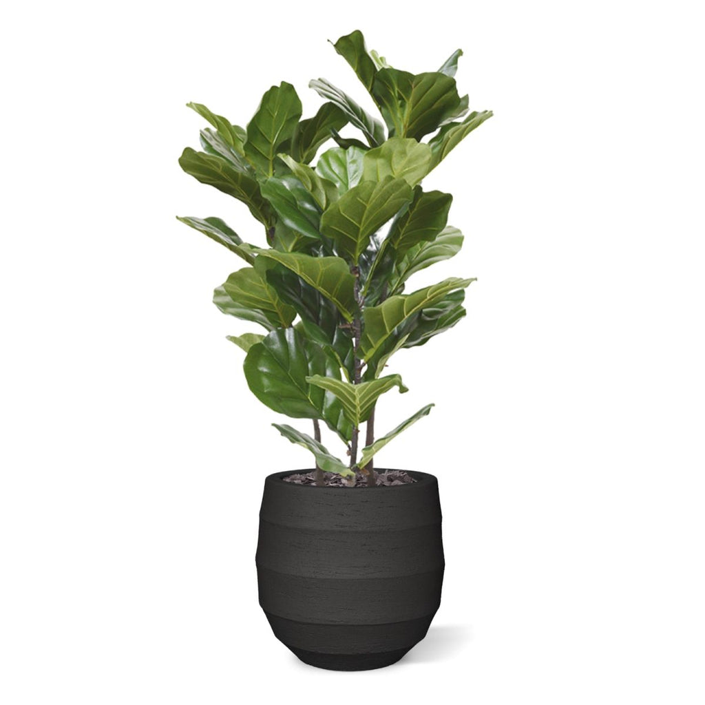 Lyrata kunstplant 95cm