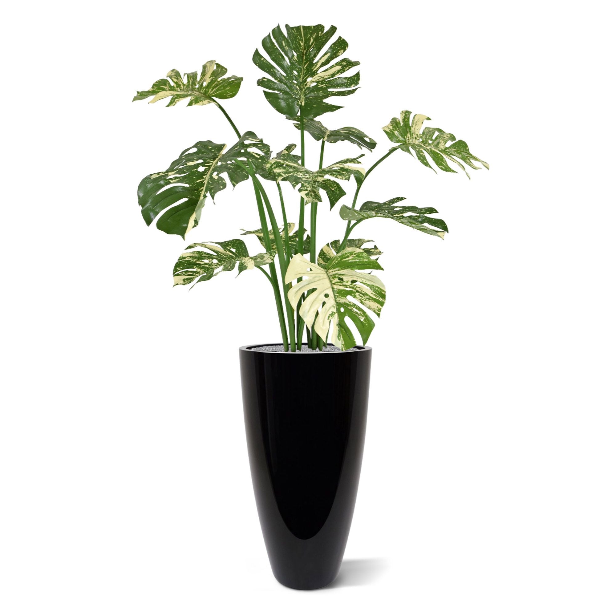 Monstera Deliciosa kunstplant 110m - groen/bont
