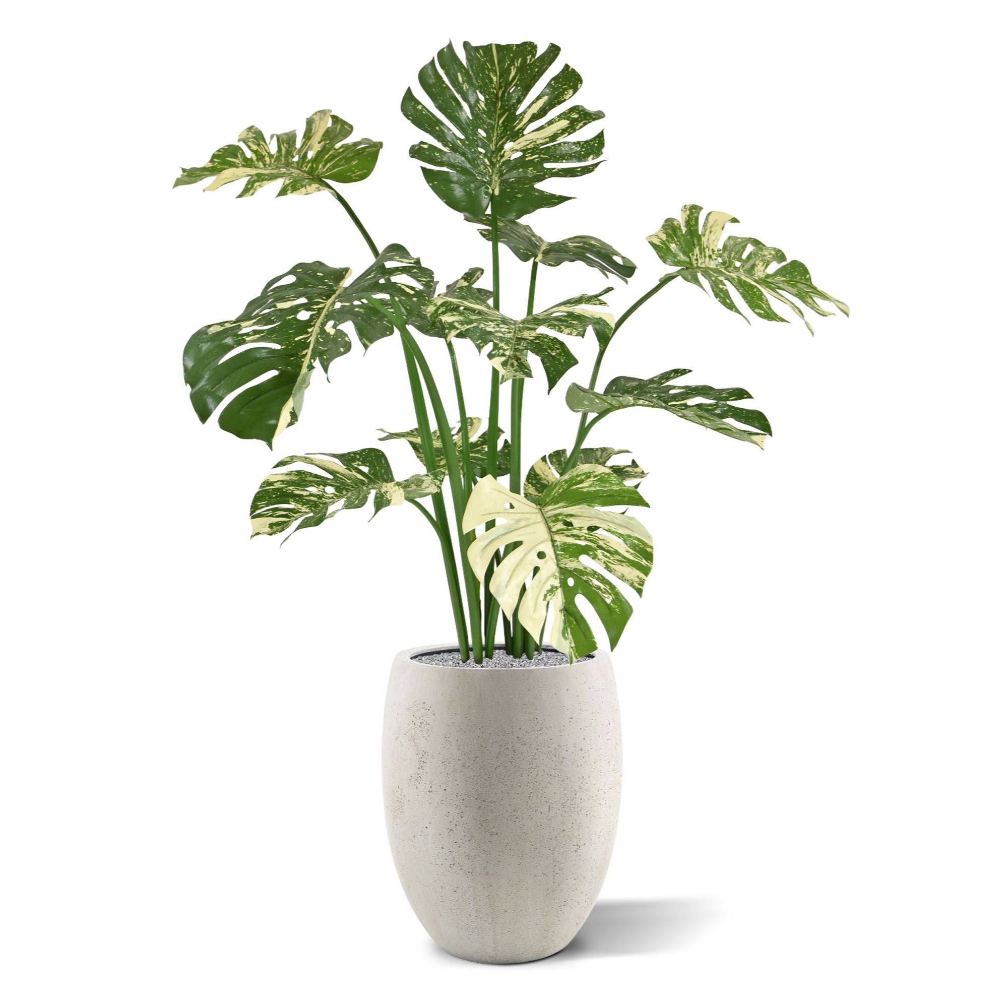 Monstera Deliciosa kunstplant 110m - groen/bont